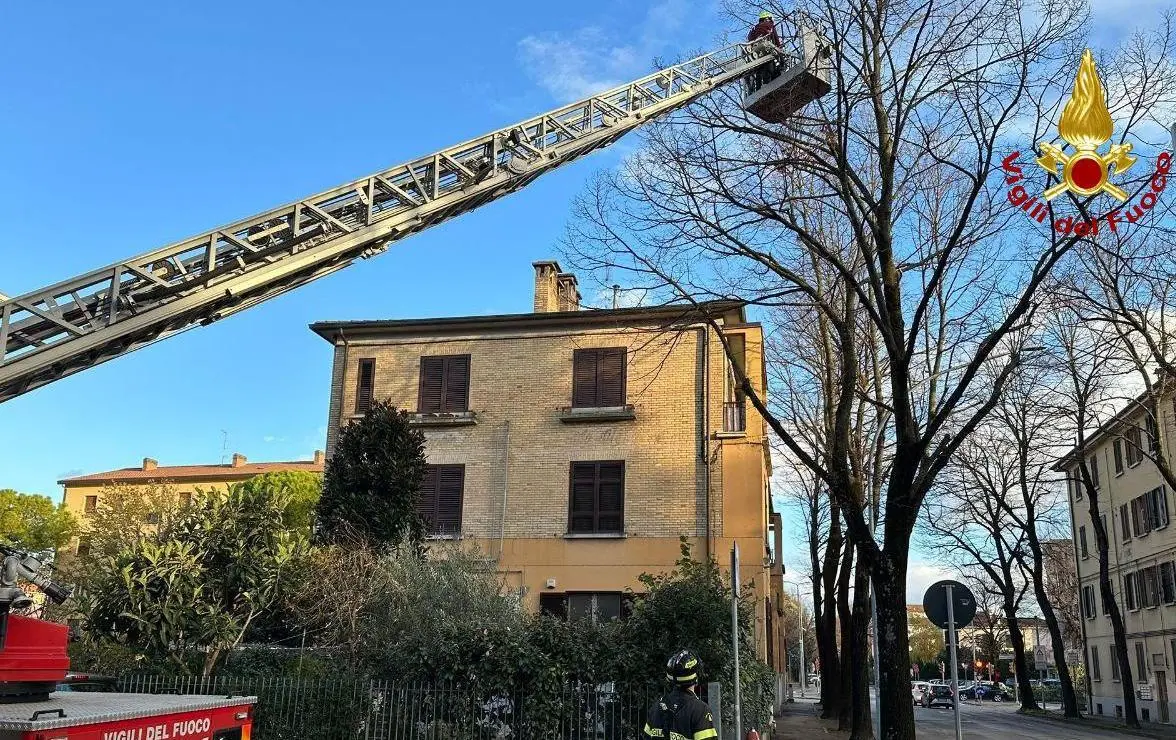 Vento Forte E Alberi Caduti. In Provincia 218 Interventi