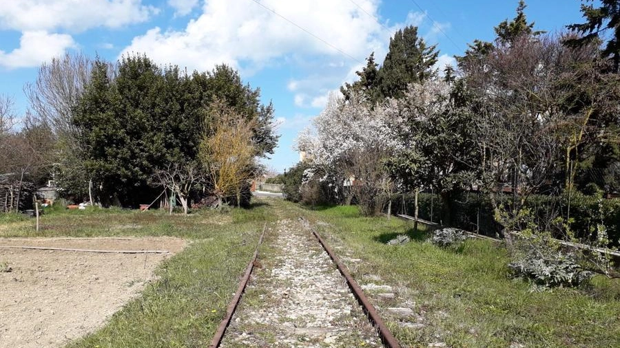 "La ciclabile lungo i binari? Ce la facciamo da soli"    