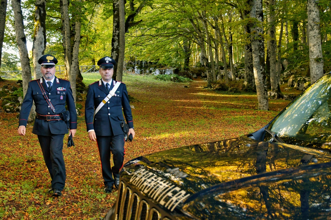 Sono intervenuti i carabinieri di Castel Guelfo (foto d'archivio)