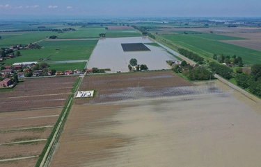 Agricoltura, campi devastati "I danni? Decine di milioni di euro"