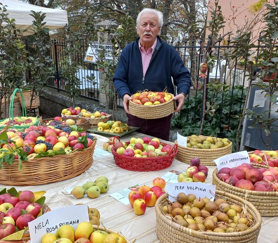 La Mela Rosa Romana Diventa Frutto Protetto