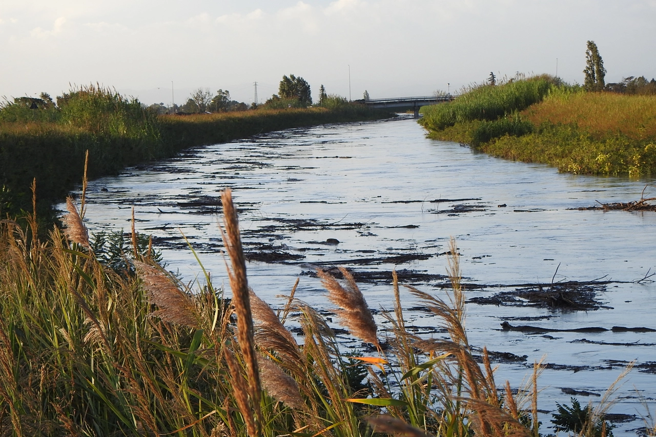 Il fiume Santerno a San Bernardino, in provincia di Ravenna (Scardovi)