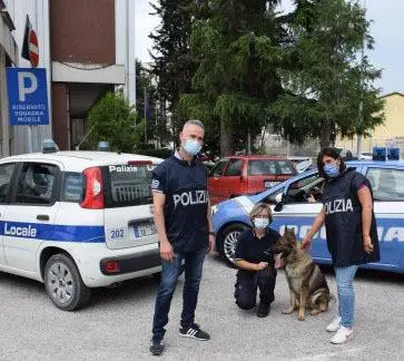 Perquisizione col cane antidroga Eroina nascosta nel cassetto