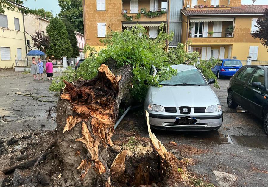 Alberi Caduti E Tetti Scoperchiati Molti I Danni Per Il Forte Vento