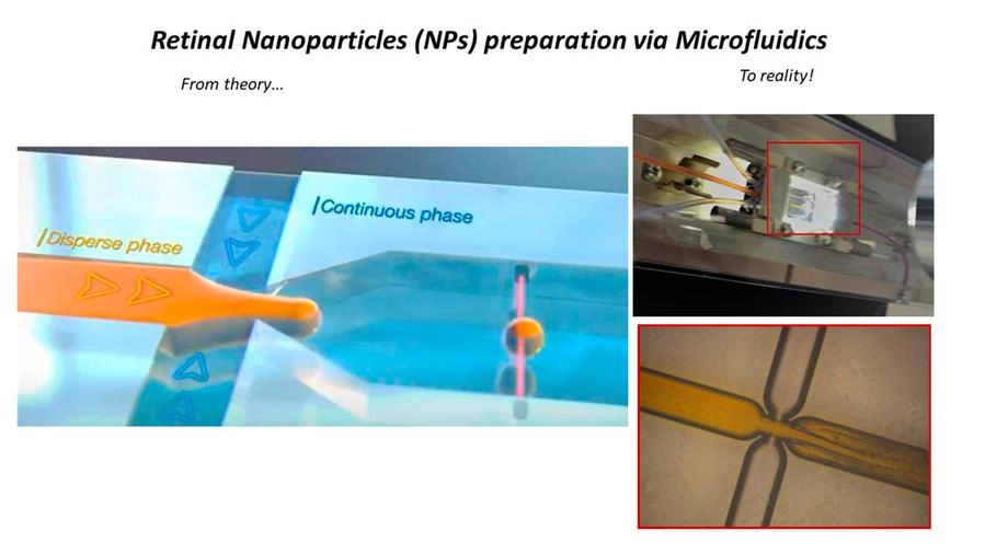 Questo risultato raggiunto presso il Labio 4.0 Marino Golinelli conferma la validità dell’idea Novavido e imprime un impulso per le prossime fasi