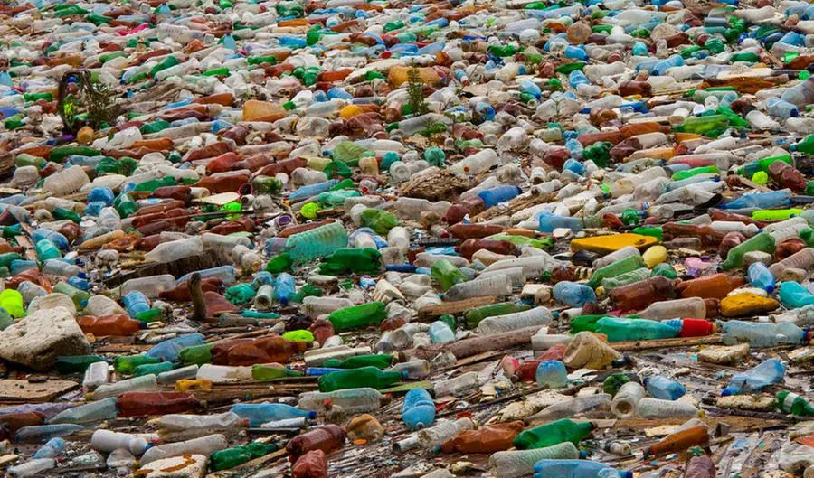 L'isola di plastica nel Pacifico diventa sempre più viva. E non è una buona notizia