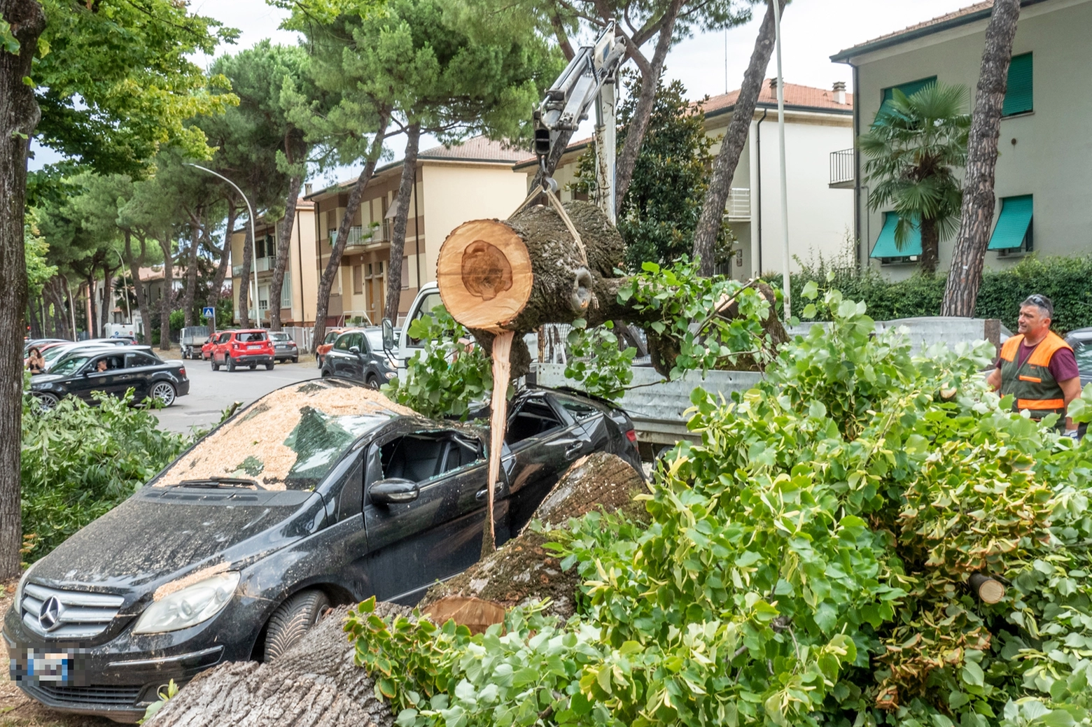 Alberi caduti a Faenza: colpita un'auto per fortuna senza feriti (foto Tedioli)