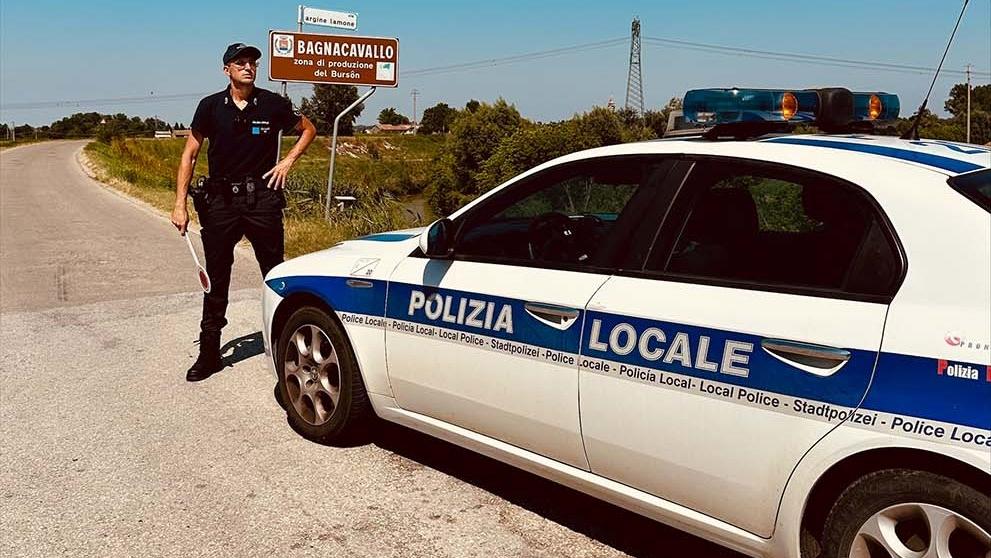 Polizia Provinciale antibracconaggio a Posina: smantellato un tunnel-trappola  per la cattura di uccelli da rivendere come richiami vivi al mercato nero —  Provincia di Vicenza