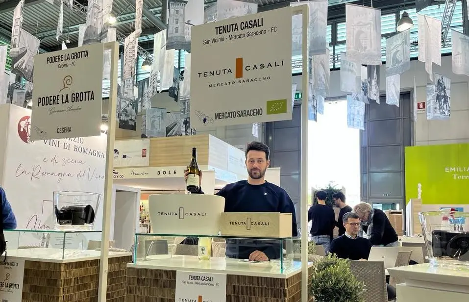 Questione di etichetta Cinque cantine al Vinitaly