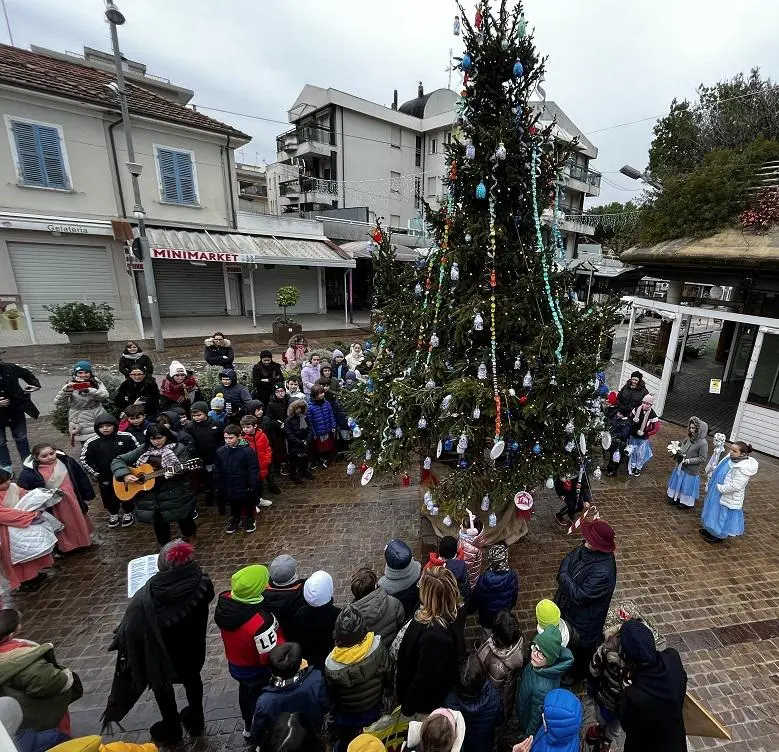 I Bambini Della Perla Addobbano L’albero Di Natale Sostenibile