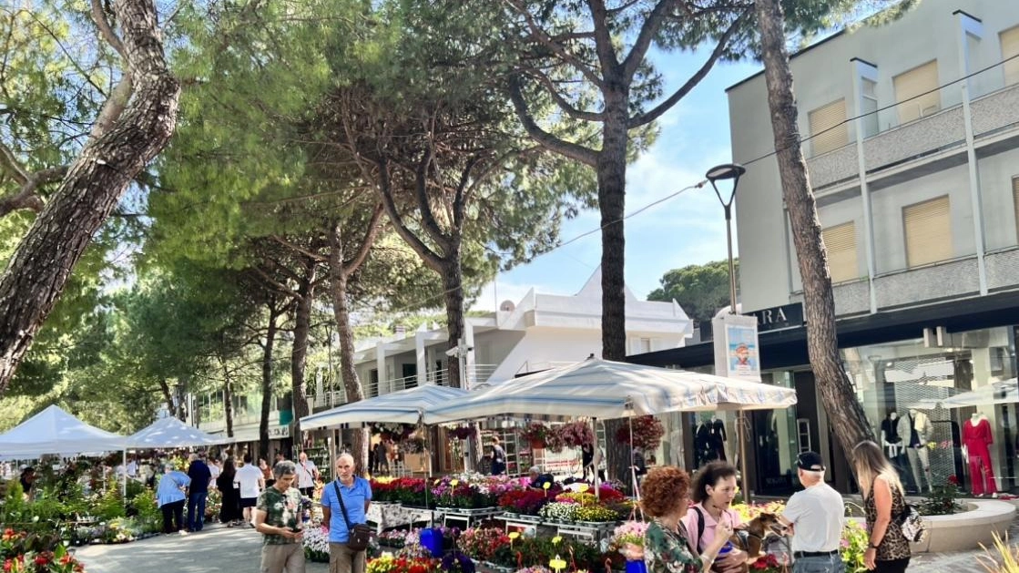 Albergatori, cresce la preoccupazione  "Stanno mancando i turisti"