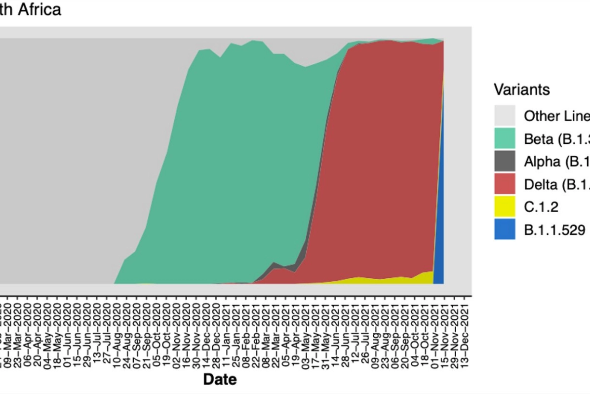 Il grafico sull'onda della nuova variante (in blu) postato dal virologo Tullio de Oliveira