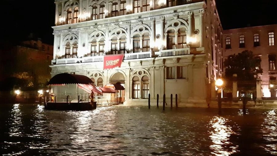 Venezia, acqua alta