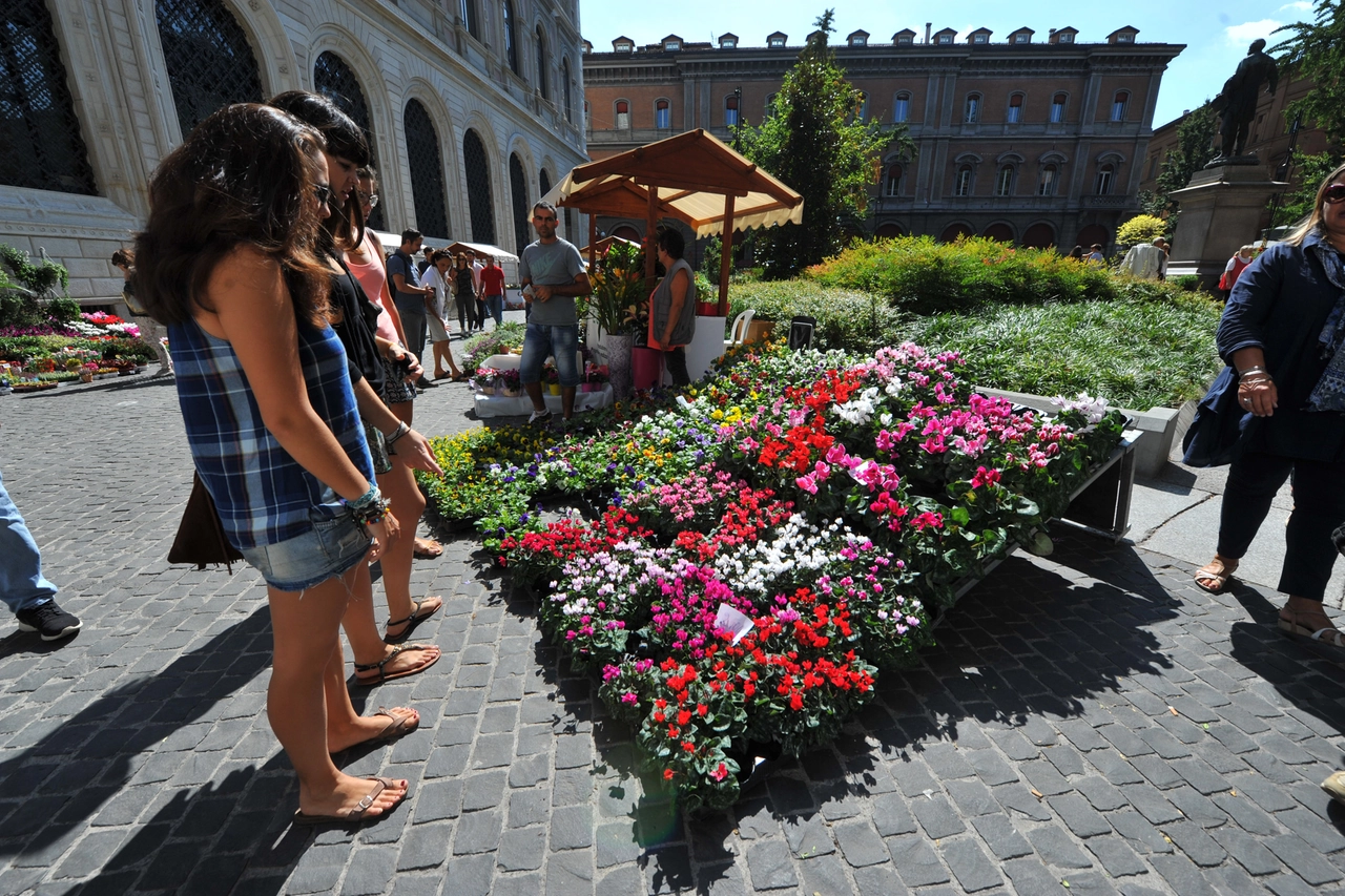 Bologna in fiore 2023 va in scena a piazza Santo Stefano dal 22 al 24 settembre