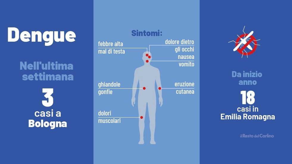 Dengue in Emilia Romagna: casi e sintomi