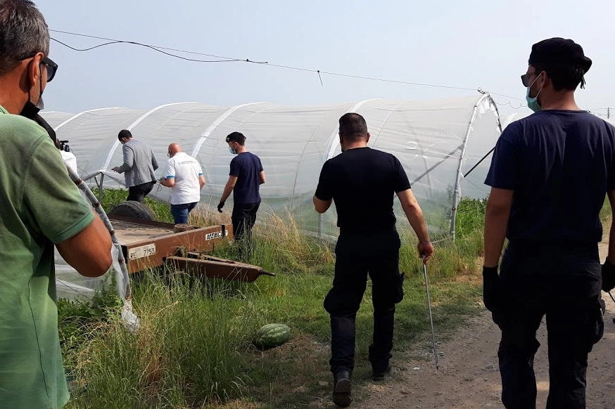 L'azione dei carabinieri sotto le serre