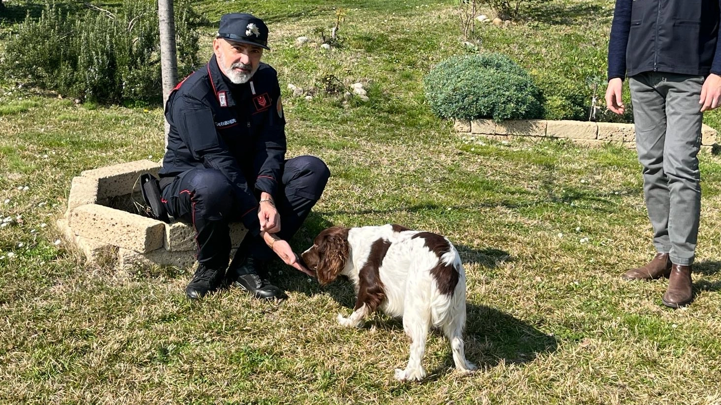 Cane Rinchiuso In Unauto Sotto Il Sole Salvato Dai Carabinieri Ora Giada Ha Una Nuova Famiglia 4673
