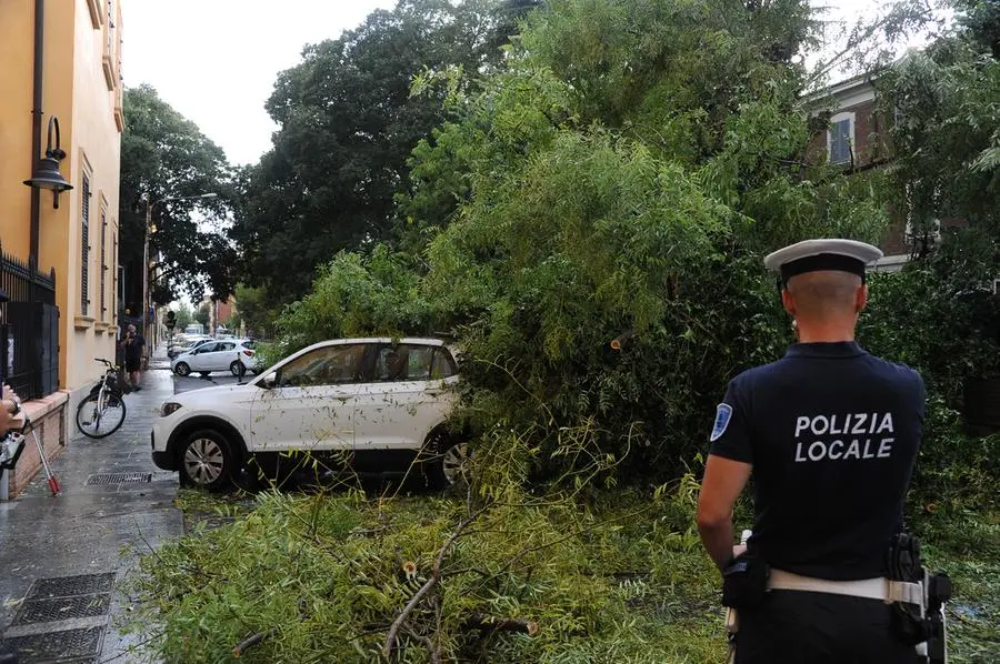 Maltempo oggi in Emilia Romagna: temporali e grandine, ecco dove. Previsioni