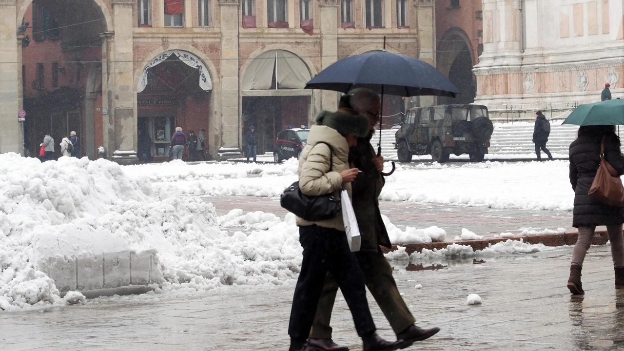 Neve in arrivo in Emilia Romagna nella settimana del 21 gennaio 2019 (Ansa)