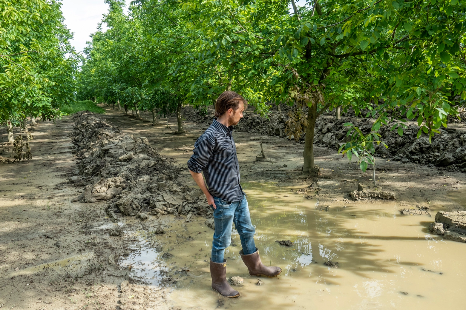 Ingenti i danni subiti dall'agricoltura in seguito all'alluvione del maggio scorso (Corelli)