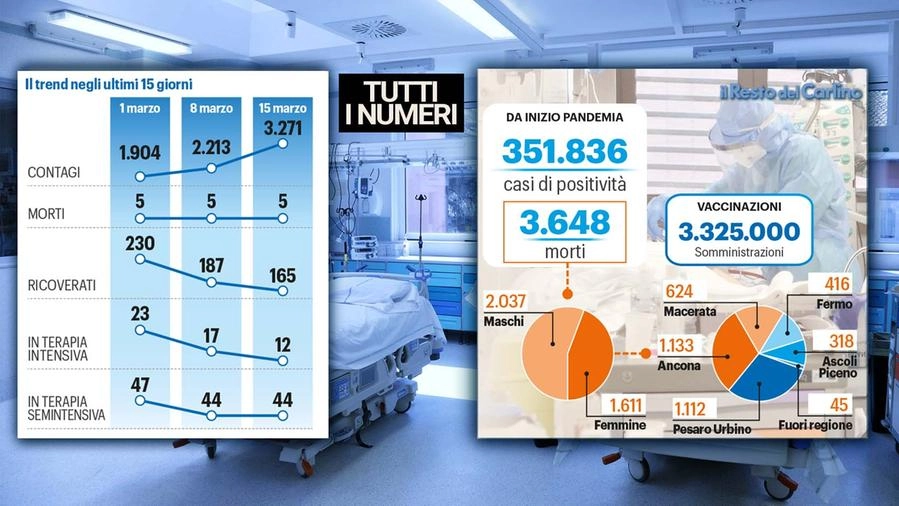 I numeri della pandemia nelle Marche