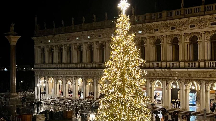 Illuminato il grande abete naturale, alto 15 metri, con una base larga 7 e decorato con sfere dorate