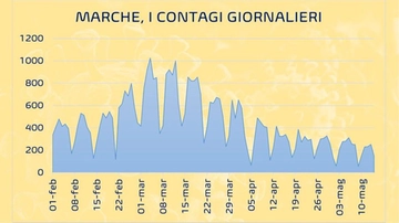 Coronavirus 15 maggio 2021 Marche: bollettino covid oggi. Contagi, morti e ricoveri