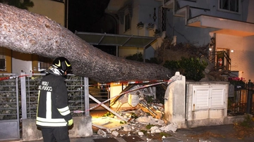 Da 5 a 20 gradi alle dieci di sera. Vento e caldo: cocktail da paura. Strage di alberi, danni e feriti