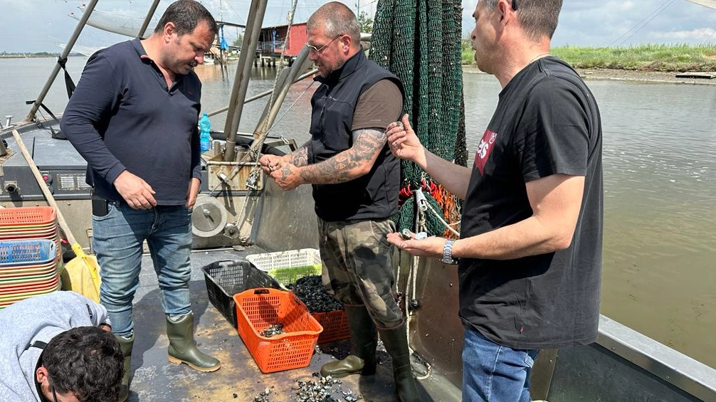 Alcuni pescatori al lavoro