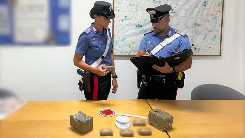 I panetti di hashish che il pensionato nascondeva in un vecchio frigo a Castello d'Argile