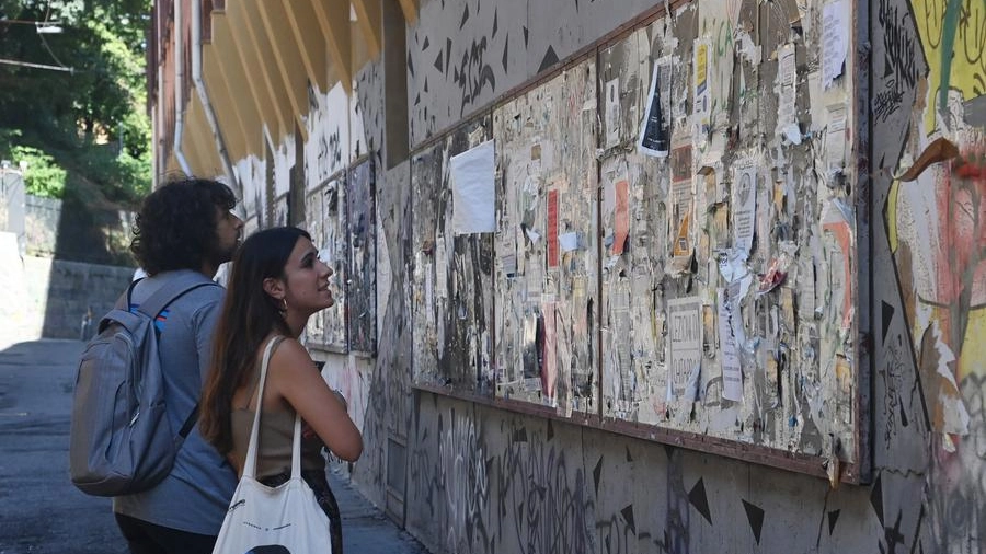 Affitti, per gli universitari i costi continuano a salire