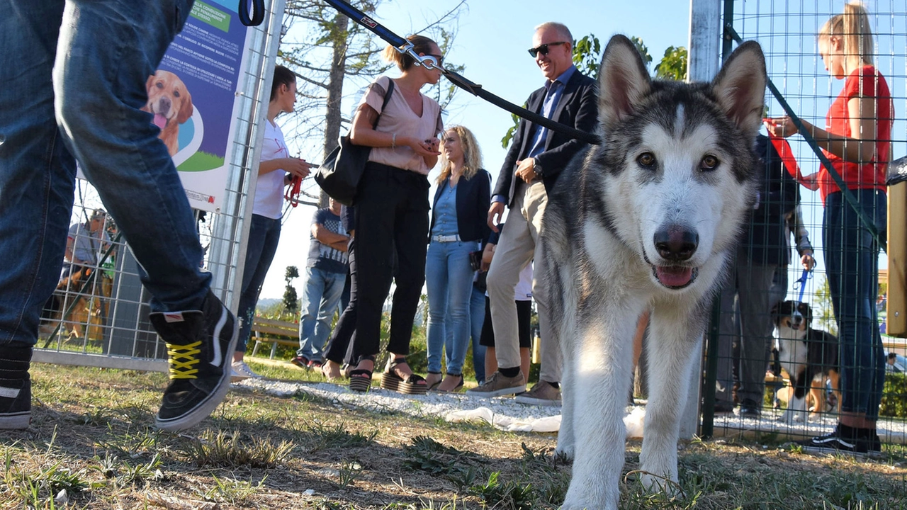 Civitanova Marche, al Cuore Adriatico inaugurata l’area per i cani / FOTO