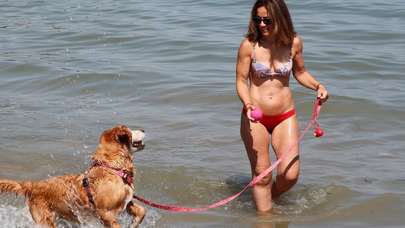 Pesaro, spiaggia dei cani in baia Flaminia