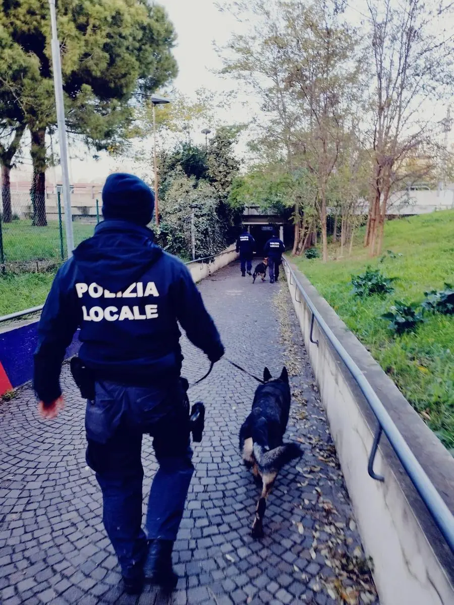 Blitz Contro Lo Spaccio A Scuola Pusher Picchia Il Cane Antidroga