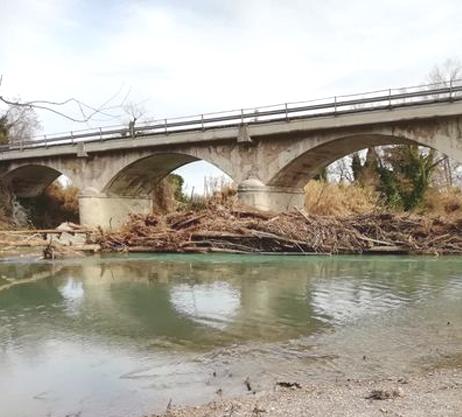 Trovato Cadavere Mummificato In Riva Al Metauro A Fano