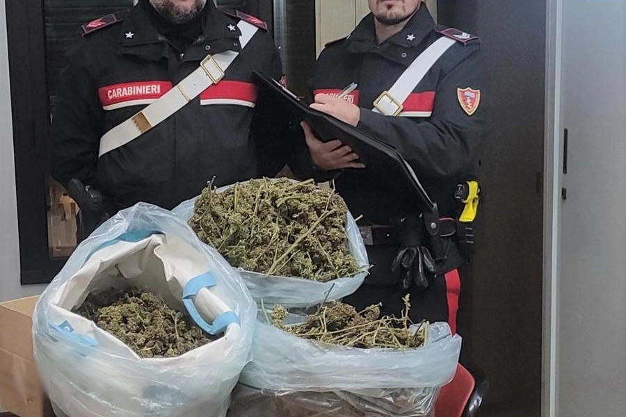 Il materiale sequestrato dai carabinieri