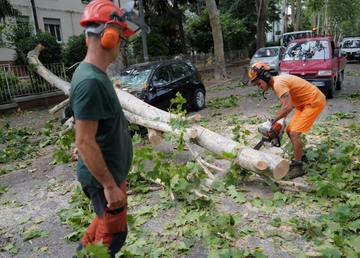 Burrasca di vento all’alba: folate a cento all’ora, tetto di una casa scoperchiato, alberi caduti e auto danneggiate