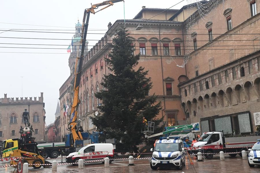 La posa dell'albero in piazza Nettuno