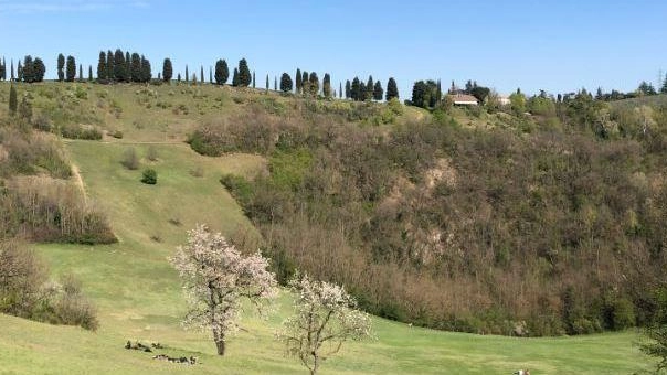 Unesco, i Gessi bolognesi verso il traguardo