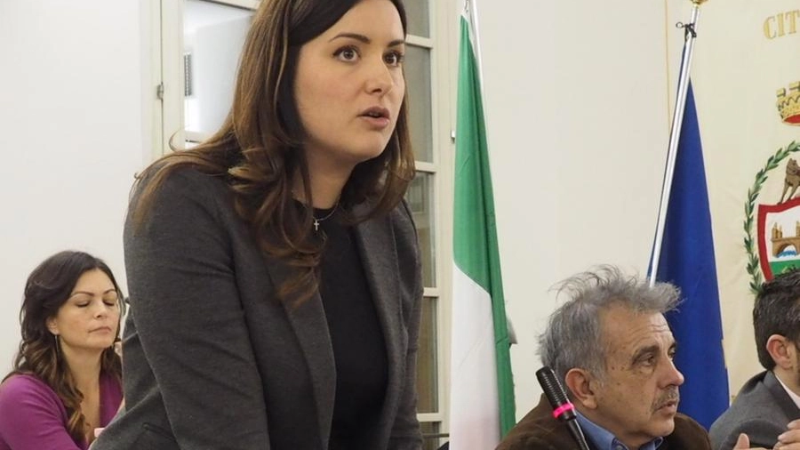 Isabella Conti al Consiglio in cui si votò la decadenza del piano operativo sulla 'Colata'