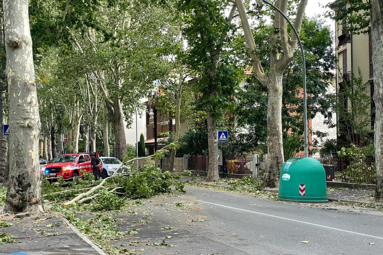 Un grosso ramo caduto in viale Due Giugno