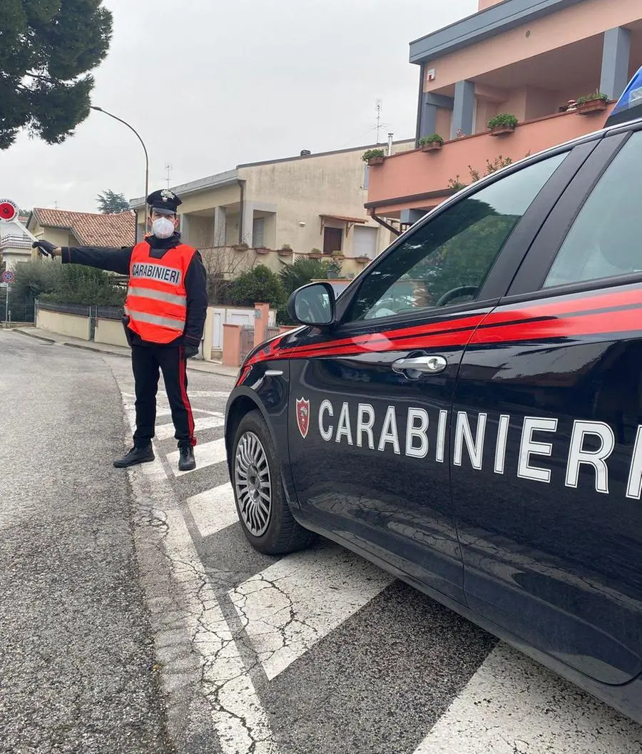 Aggredisce carabinieri: arrestata