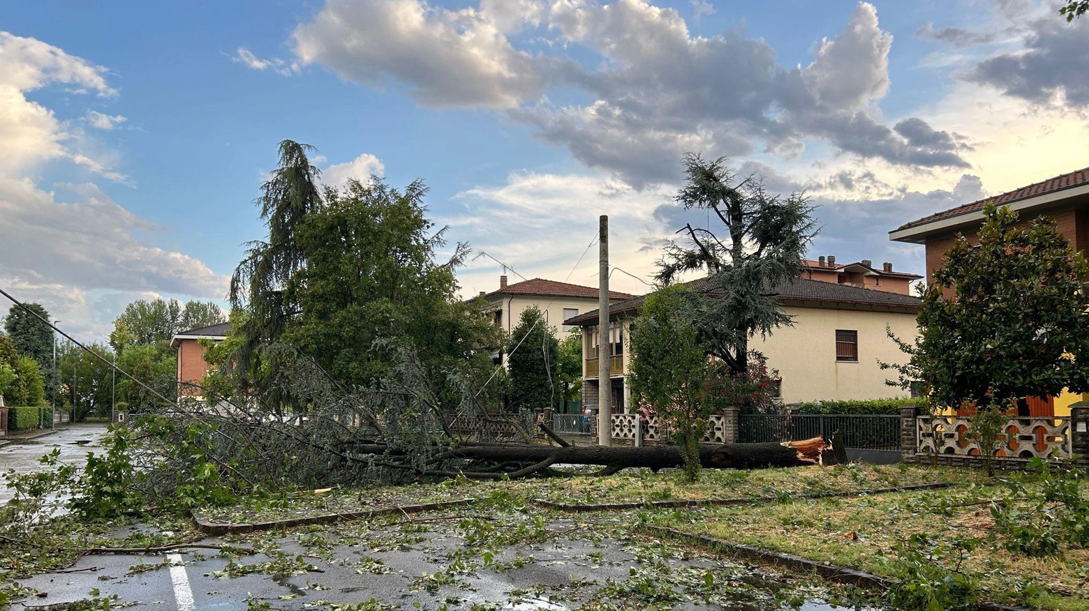 I danni a Castelfranco  Sei famiglie evacuate  e lunghi black out  Agricoltura in ginocchio