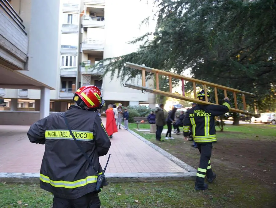 Terremoto nelle Marche, la geologa: "Si è temuto uno tsunami"