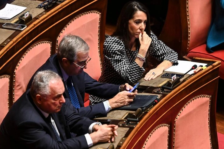 Licia Ronzulli in Senato