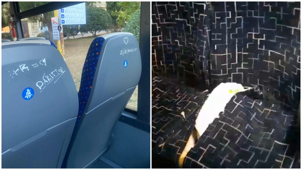 I danni sui nuovi autobus degli studenti: scritte e sedili tagliati