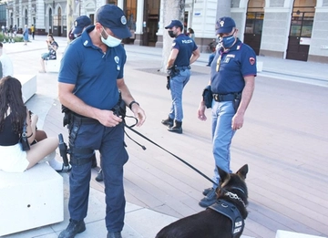 Rimini, disabile in sedia a rotelle rapinato mentre telefona