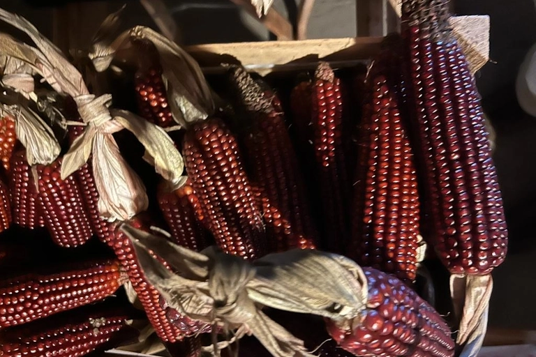 Il mais rosso di Rasora (Castiglione dei Pepoli) è entrato nel progetto regionale Ricolma