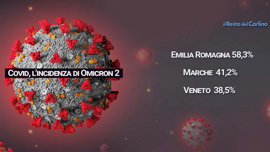 Covid, la variante Omicron 2 si diffonde nelle nostre regioni