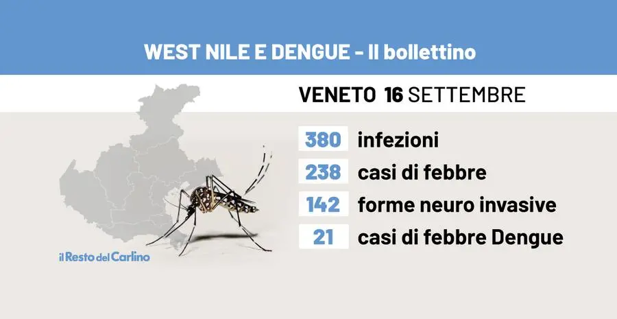 West Nile, aumentano i contagi in Veneto: 380 i casi accertati. Il bollettino in Pdf